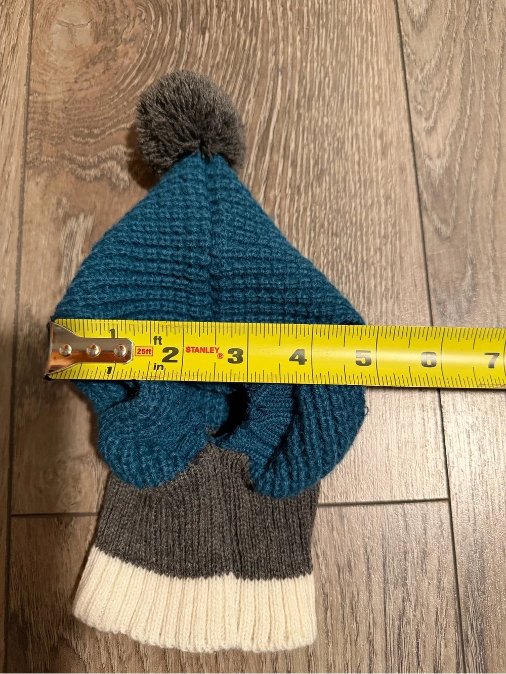 N/A dog hat